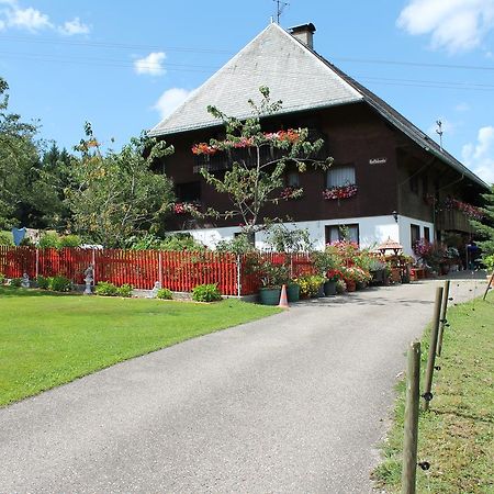 Ferienwohnung Schwarzwaldhof Titisee-Neustadt Buitenkant foto