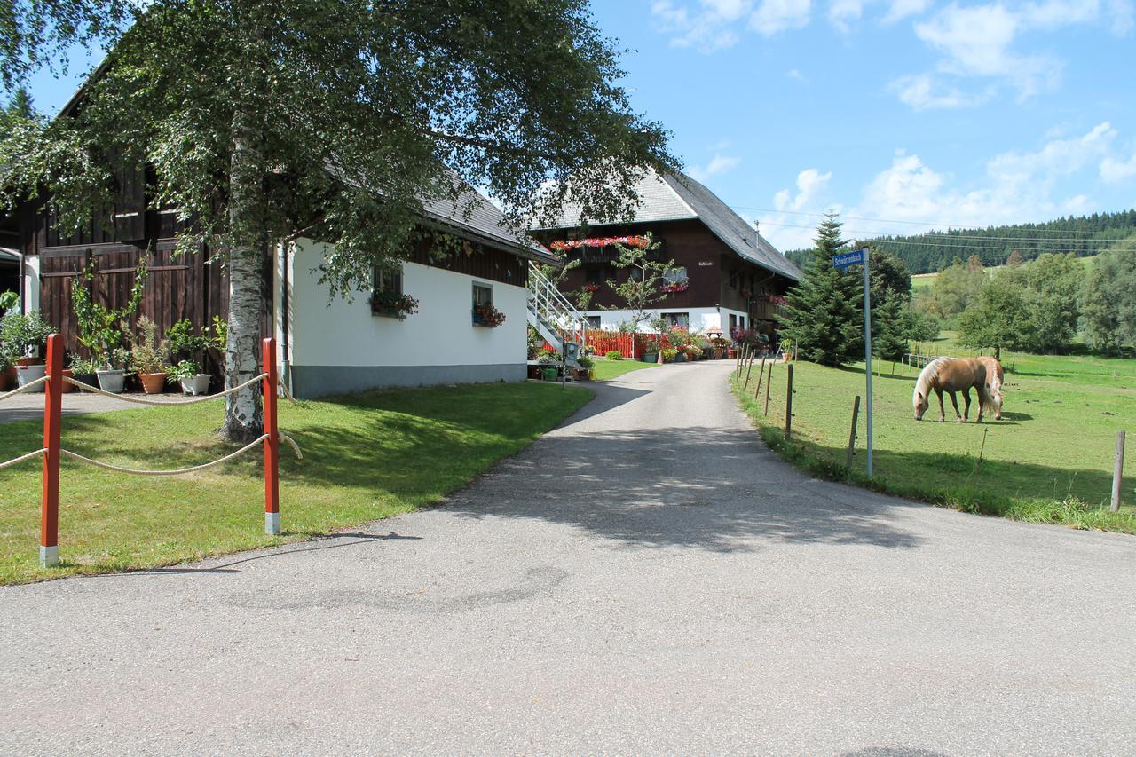 Ferienwohnung Schwarzwaldhof Titisee-Neustadt Buitenkant foto