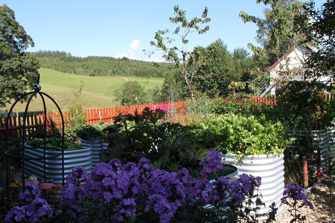 Ferienwohnung Schwarzwaldhof Titisee-Neustadt Buitenkant foto